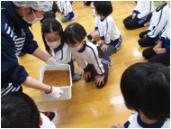 ◎お味噌のオープン式