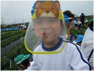 いちご狩り