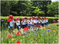 梅小路公園(少)