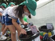 大根の袋栽培