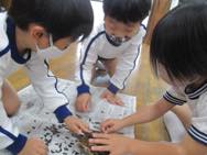 ヒマワリの種取り