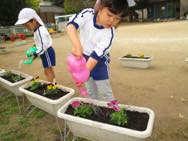 花の苗植え
