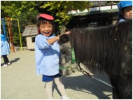 ふれあい動物園