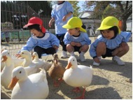 ふれあい動物園