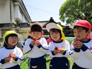 幼稚園のいちご