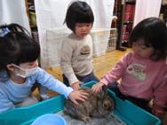 さくらんぼ組