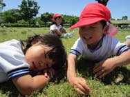 梅小路公園(年少)