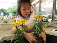 お花摘み・お花植え