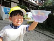 色水あそび