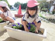 お花摘み・お花植え