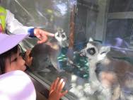 動物園(年中遠足)