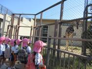 動物園(年中遠足)