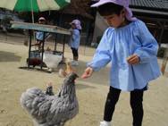 ふれあいどうぶつえん