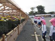 西本願寺菊花展
