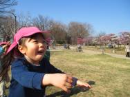梅小路公園にお散歩(さくらんぼ組)