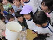 幼稚園のお米
