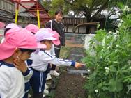 幼稚園探検