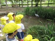 梅小路公園(年少)