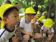 梅小路公園(年少)