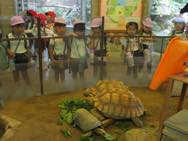 遠足 動物園(年中)