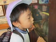 遠足 動物園(年中)