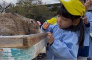 エサ準備・ふれあい動物園