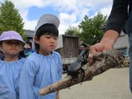 エサ準備・ふれあい動物園