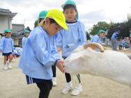 エサ準備・ふれあい動物園