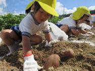 �����@��