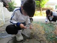 スポーツデーごっこ