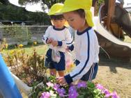 お花摘み・お花植え