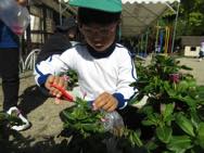 お花摘み・お花植え