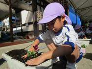 お花摘み・お花植え