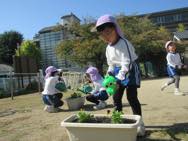 お花摘み・お花植え