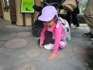 遠足 動物園(年中)