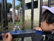遠足 動物園(年中)