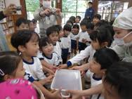 味噌オープン式(年中・年長)