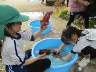 おいもパーティー