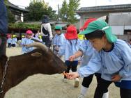ふれあい動物園