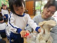 ���̂��͔|