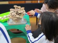 ���̂��͔|