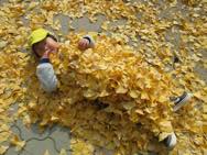 �����t������