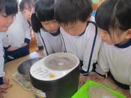 お米・おにぎり