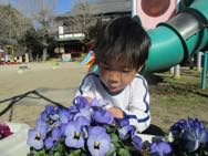 ���ʂ��ɂނ���