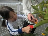 ���񂩂�Ƃ�