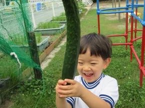 wZ@l Jw@{莛ct