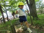 �~���H�����i�ڂݑg�j